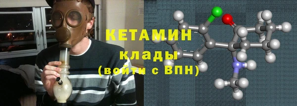 прущие грибы Абинск