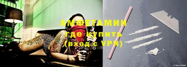 прущие грибы Абинск