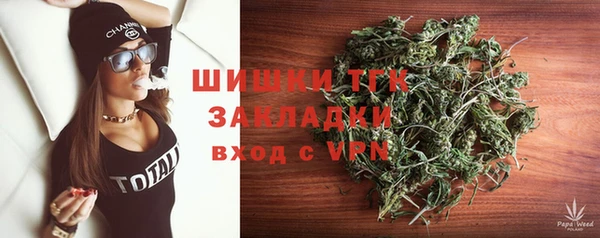 прущие грибы Абинск